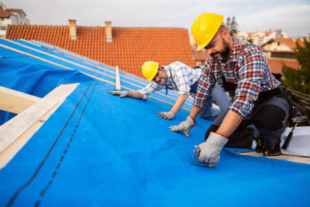 Roof Coating Services in Scissors, TX